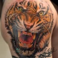 tigre tattoos